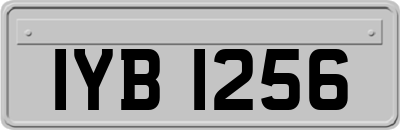 IYB1256