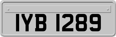 IYB1289