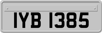 IYB1385