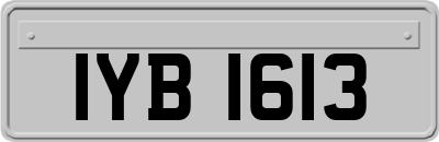 IYB1613