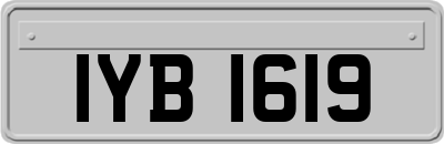 IYB1619