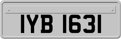 IYB1631