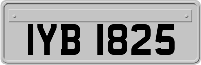IYB1825