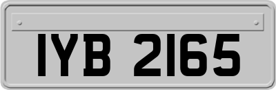 IYB2165