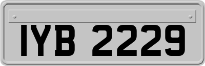 IYB2229