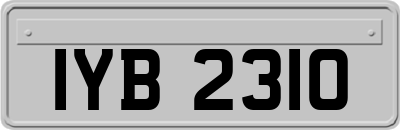 IYB2310