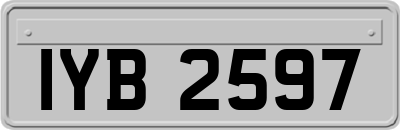 IYB2597