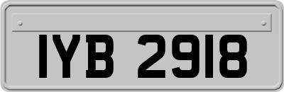 IYB2918