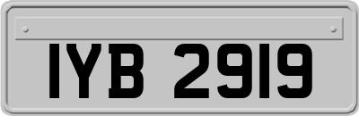 IYB2919