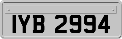 IYB2994