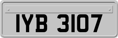 IYB3107