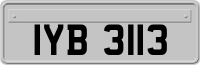 IYB3113