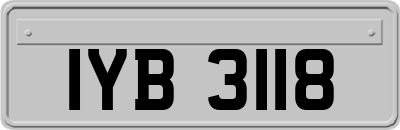 IYB3118
