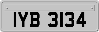 IYB3134