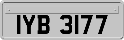IYB3177