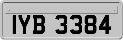 IYB3384