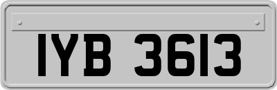 IYB3613