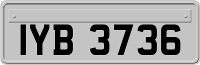 IYB3736