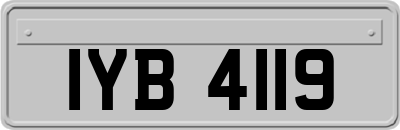 IYB4119