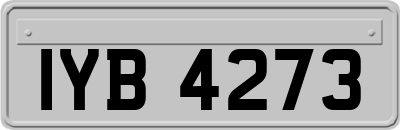 IYB4273