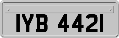 IYB4421