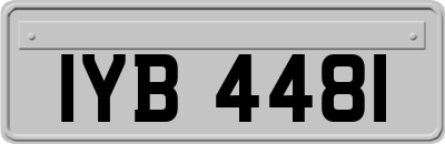 IYB4481
