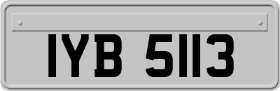 IYB5113