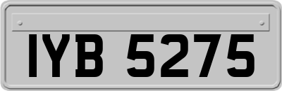 IYB5275