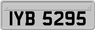 IYB5295