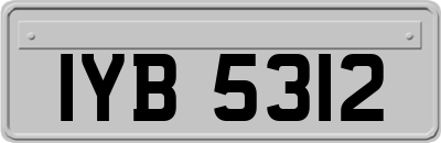 IYB5312
