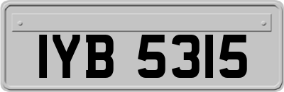 IYB5315