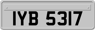IYB5317