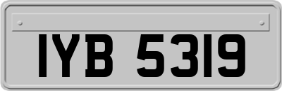 IYB5319