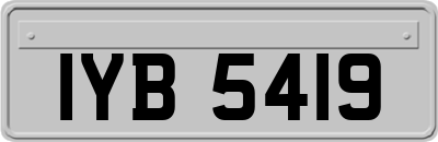 IYB5419