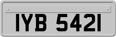 IYB5421