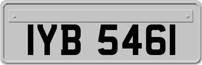IYB5461