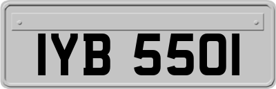 IYB5501