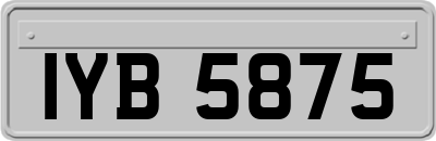 IYB5875