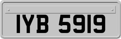 IYB5919