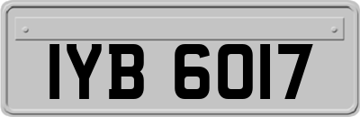 IYB6017