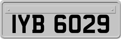 IYB6029