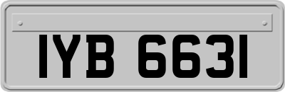 IYB6631