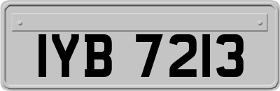 IYB7213