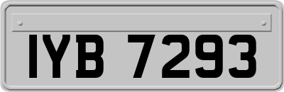 IYB7293