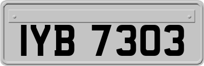 IYB7303