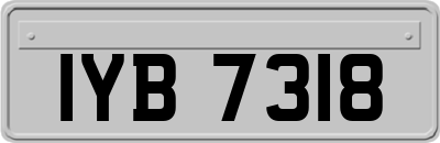 IYB7318