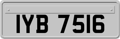IYB7516