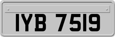 IYB7519