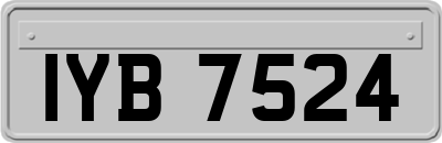 IYB7524