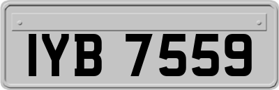IYB7559